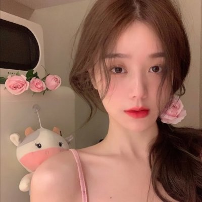 玩具熊的五夜后宫